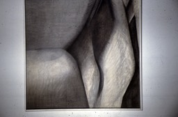 Corps_Craie_noire 503