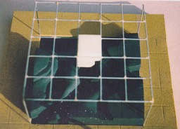 SCN 0026
